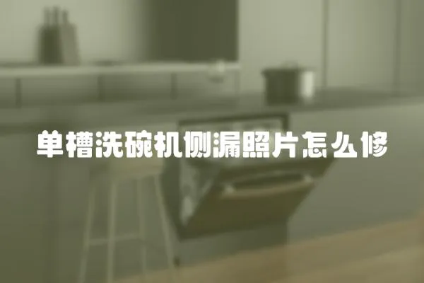 單槽洗碗機(jī)側(cè)漏照片怎么修