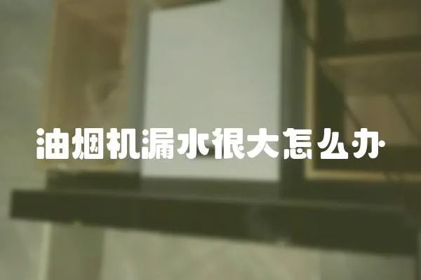 油煙機(jī)漏水很大怎么辦