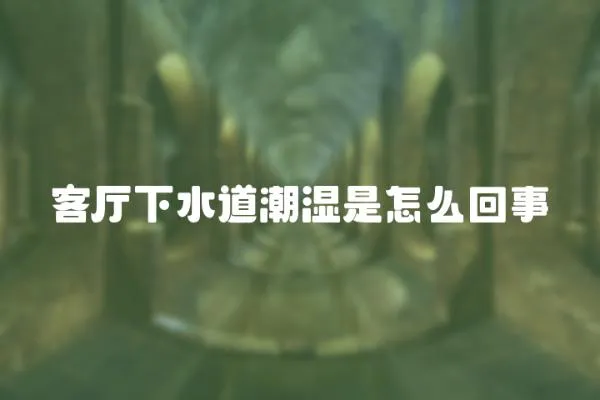 客廳下水道潮濕是怎么回事