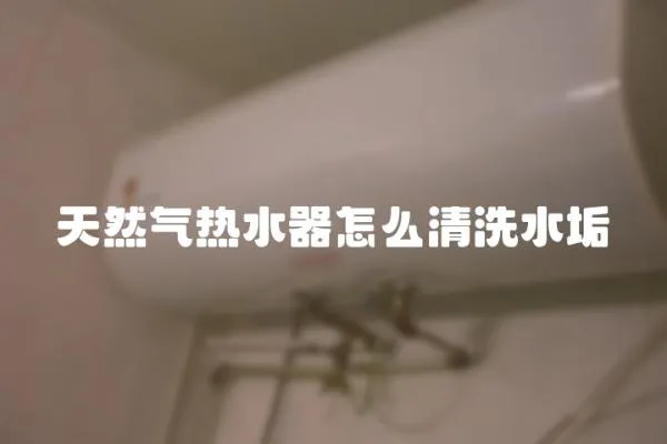 天然氣熱水器怎么清洗水垢