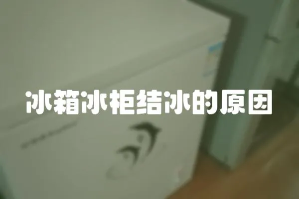 冰箱冰柜結(jié)冰的原因