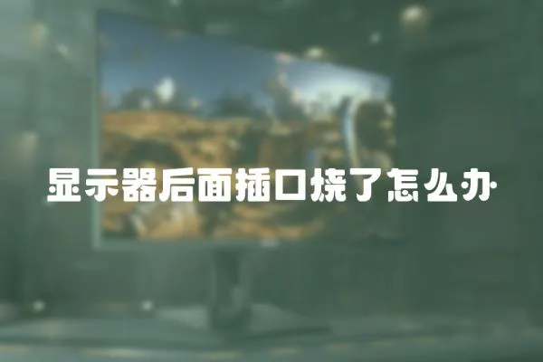 顯示器后面插口燒了怎么辦