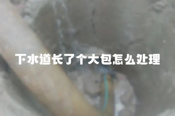 下水道長了個大包怎么處理