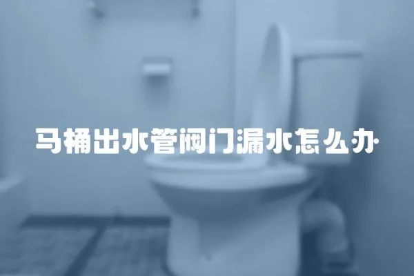 馬桶出水管閥門漏水怎么辦