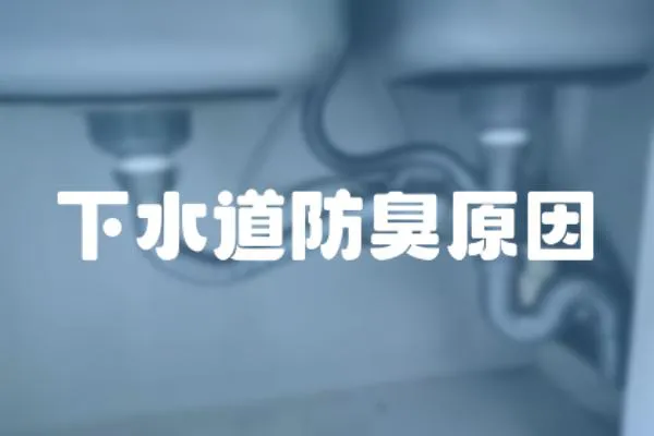 下水道防臭原因