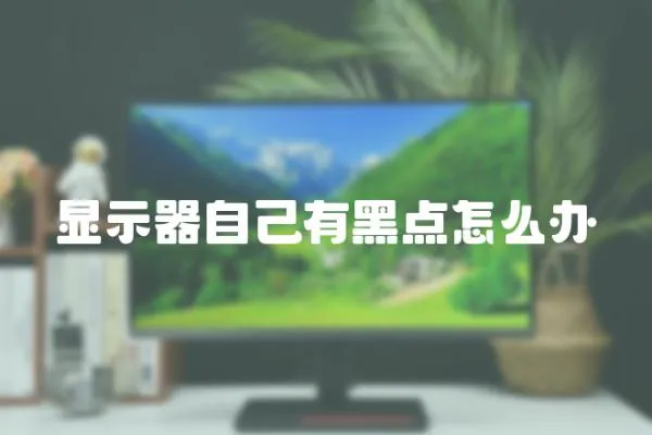 顯示器自己有黑點怎么辦