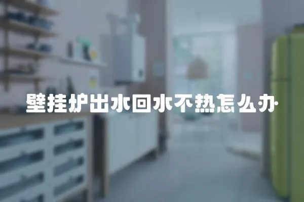 壁掛爐出水回水不熱怎么辦