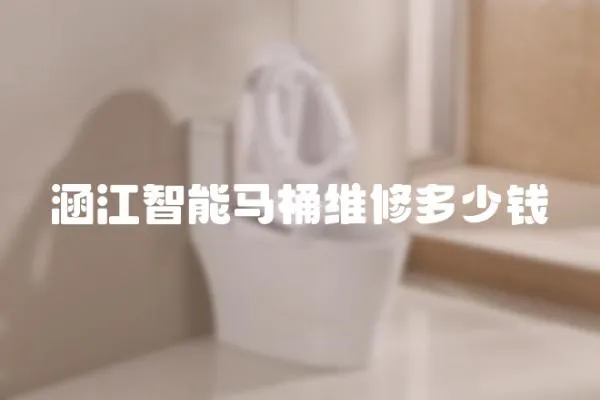 涵江智能馬桶維修多少錢
