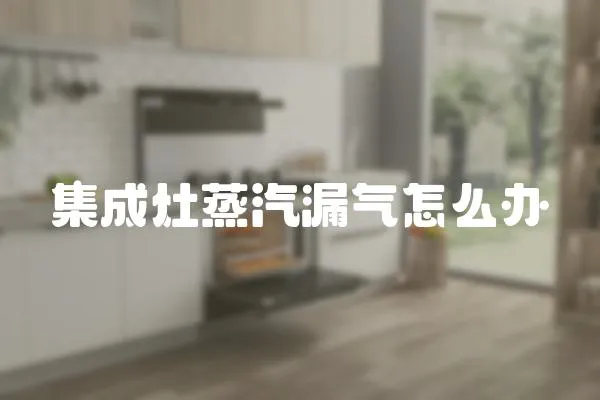 集成灶蒸汽漏氣怎么辦