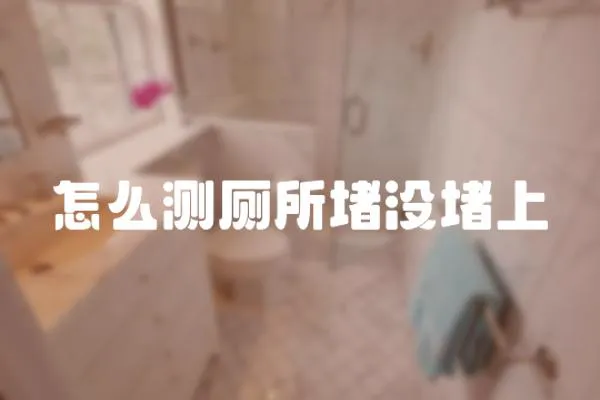 怎么測廁所堵沒堵上