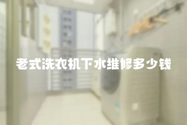 老式洗衣機下水維修多少錢