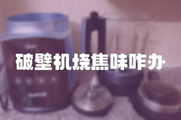 破壁機燒焦味咋辦