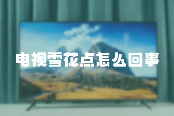 電視雪花點怎么回事