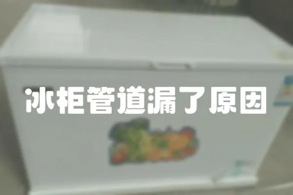 冰柜管道漏了原因