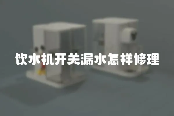 飲水機(jī)開(kāi)關(guān)漏水怎樣修理