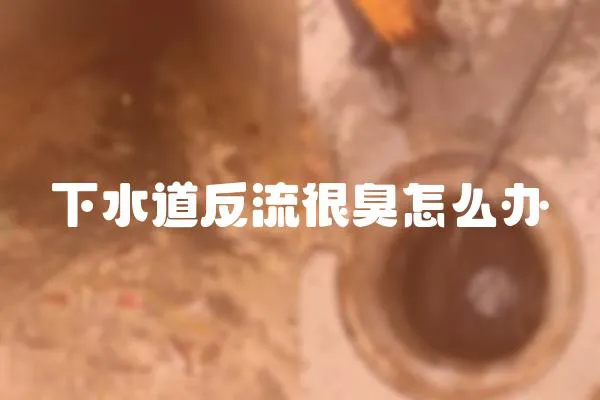 下水道反流很臭怎么办