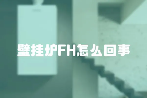 壁掛爐FH怎么回事