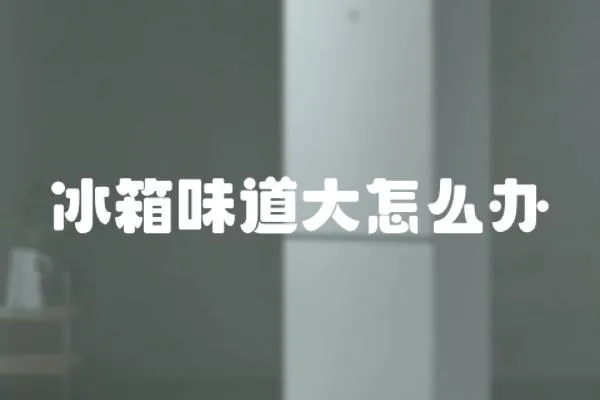 冰箱味道大怎么辦