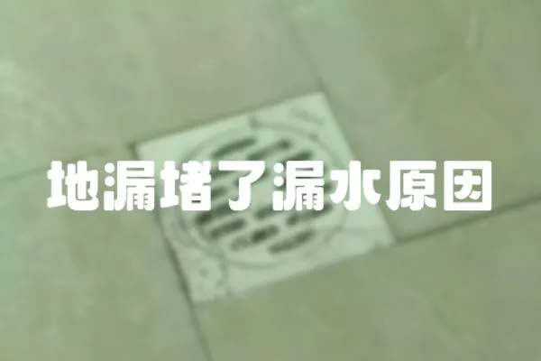 地漏堵了漏水原因