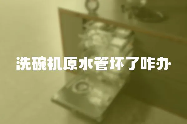 洗碗機原水管壞了咋辦