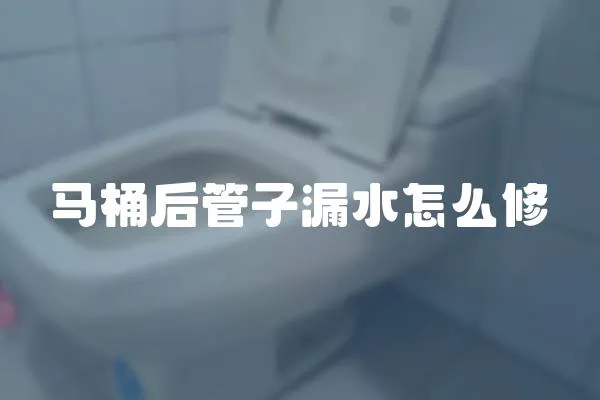 馬桶后管子漏水怎么修