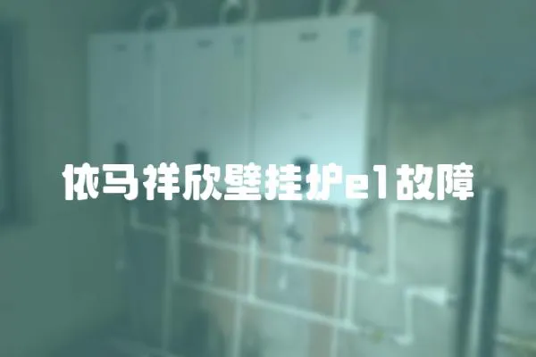 依馬祥欣壁掛爐e1故障