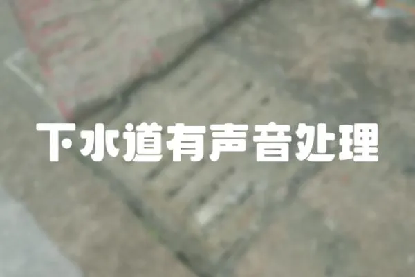 下水道有聲音處理