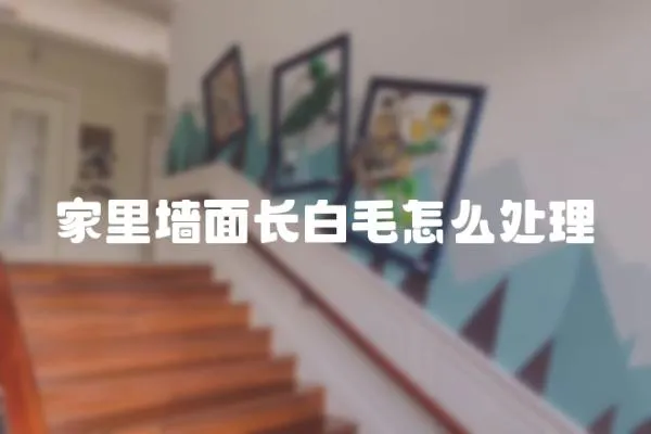 家里墻面長白毛怎么處理