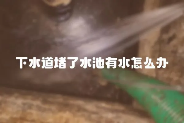 下水道堵了水池有水怎么辦