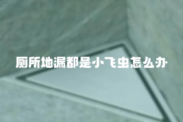 廁所地漏都是小飛蟲怎么辦