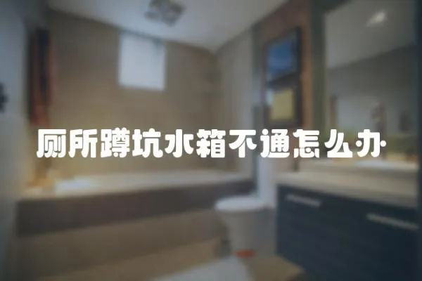 廁所蹲坑水箱不通怎么辦
