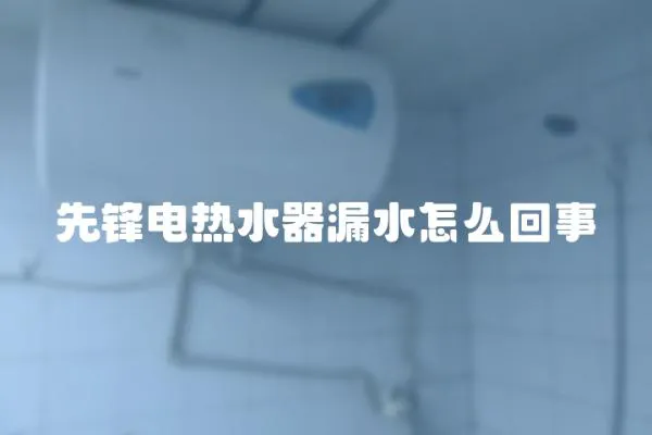 先鋒電熱水器漏水怎么回事