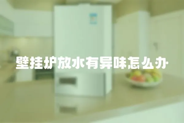 壁掛爐放水有異味怎么辦