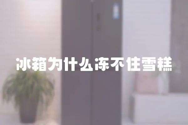 冰箱為什么凍不住雪糕