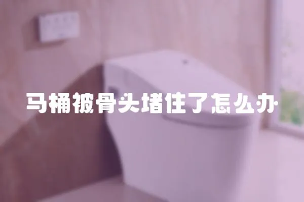 馬桶被骨頭堵住了怎么辦