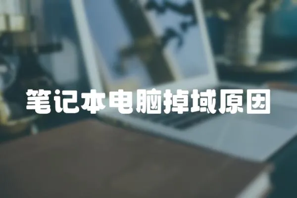 筆記本電腦掉域原因