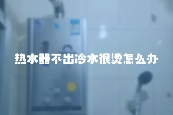 熱水器不出冷水很燙怎么辦
