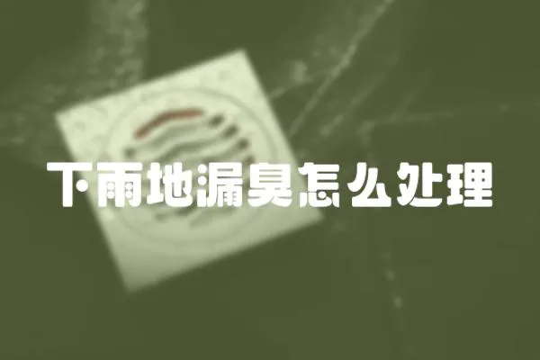下雨地漏臭怎么處理
