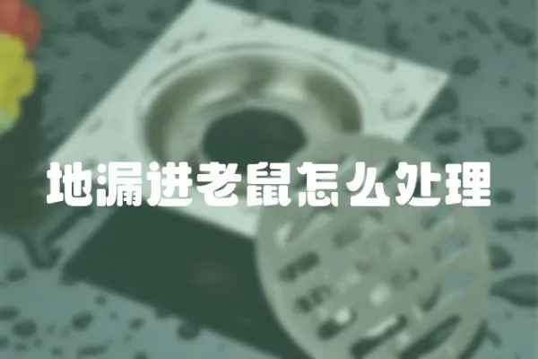地漏進老鼠怎么處理