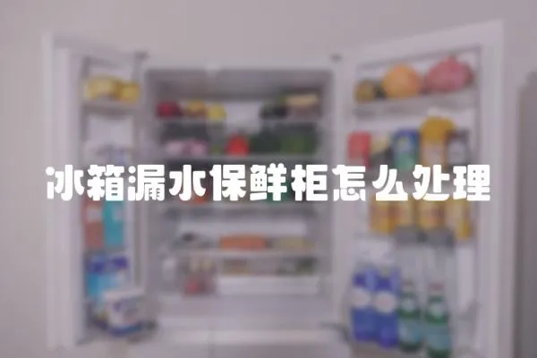 冰箱漏水保鮮柜怎么處理