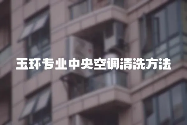 玉環專業中央空調清洗方法