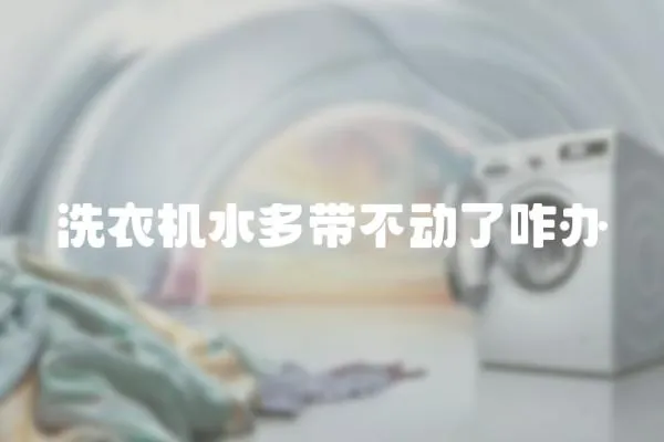 洗衣機(jī)水多帶不動(dòng)了咋辦