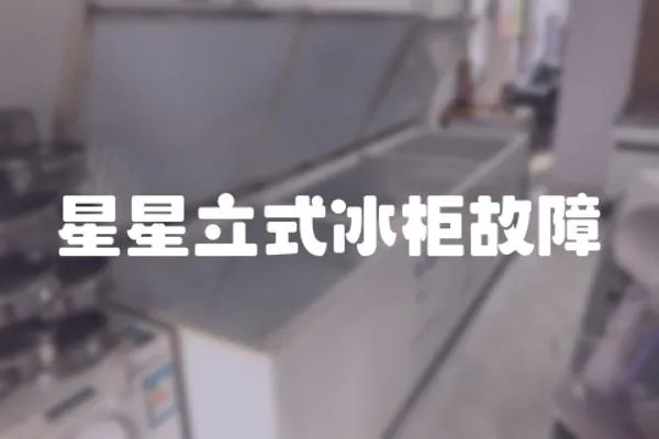 星星立式冰柜故障