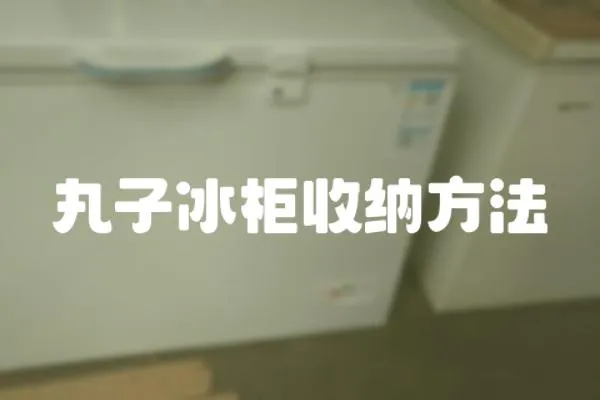 丸子冰柜收納方法