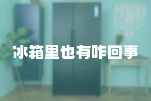 冰箱里也有咋回事