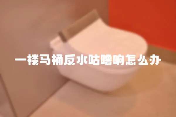 一楼马桶反水咕噜响怎么办