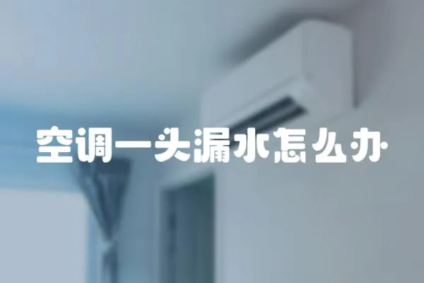 空調(diào)一頭漏水怎么辦