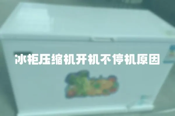 冰柜壓縮機開機不停機原因