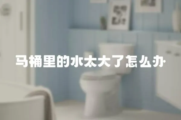 馬桶里的水太大了怎么辦