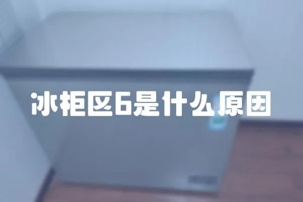冰柜區6是什么原因